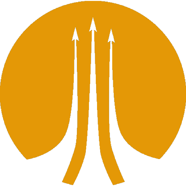 Fleetyards Icon