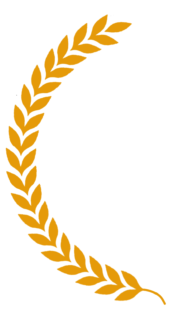 Left side of roman style laurel.